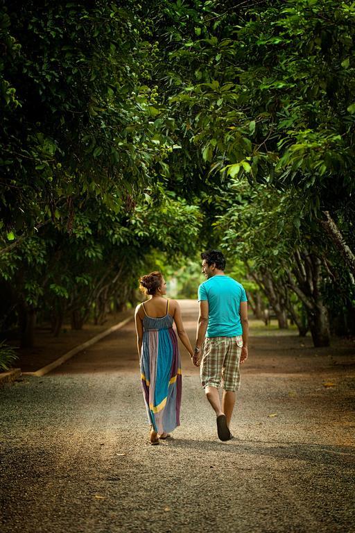 Wet Water Resort Gampaha Exterior foto